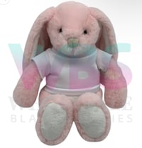 Image 4 of Easter sublimation teddy