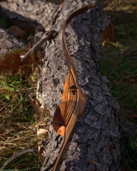 Image 4 of Stanek Custom Bow