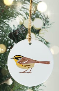 Image 15 of UK Birding - Christmas Bauble/Keepsake