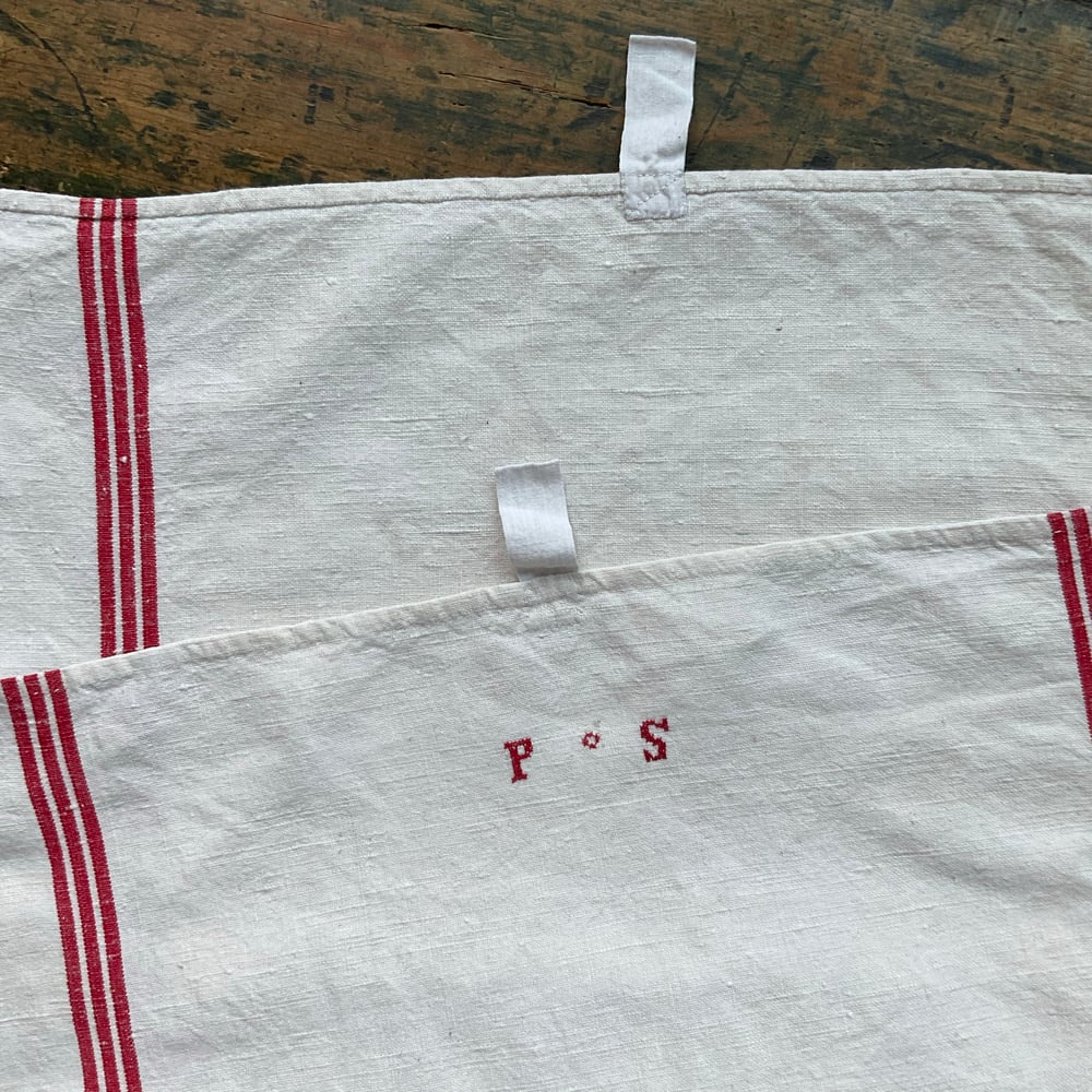 Image of Small Runner