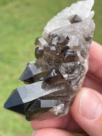 Image 7 of Smoky Quartz Points #1383