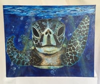 Image 1 of Sea Turtle in Blue 