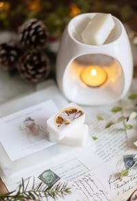 Image 2 of The Festive Collection 