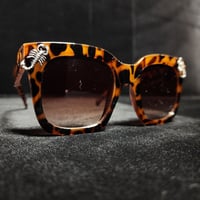 Image 7 of Baby Scorpio 