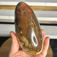 Image 5 of Petrified Wood Freeform (46A)