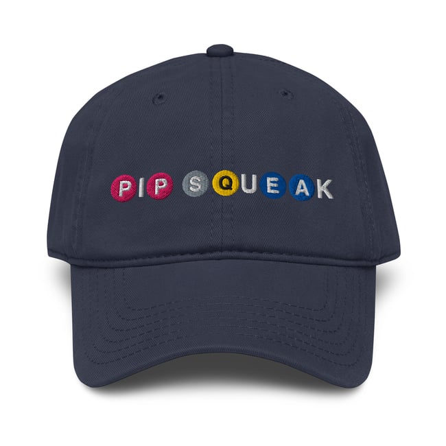 Pipsqueak NYC (Pink P Subway) Garment washed baseball cap