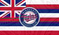 Minnesota Twins Hawaiian Flag