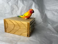 Image 8 of Custom Engraved Sunrise Conure Bird Mini Urn Pet Portrait To Your Photos