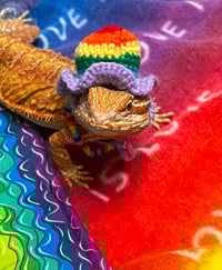 Image 1 of Pride Reptibox