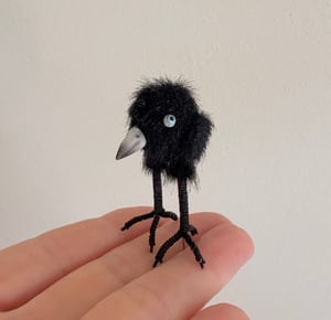 Image of Very Tiny Raven Baby #1