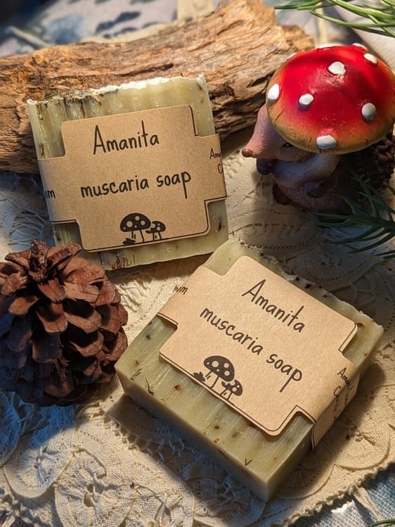 Image of Amanita muscaria soap