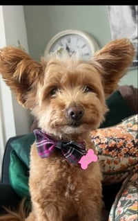 Image 2 of   Pink and Grey Tartan