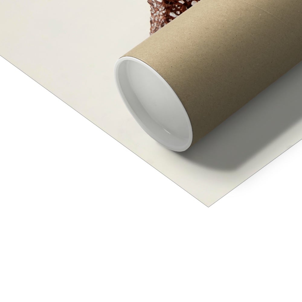 Fizzy Cola Bottle Print