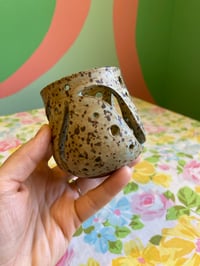 Image 3 of riptide luminary 