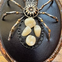 Image 3 of Toothy spider (2x2.5 inches)