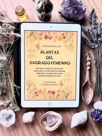 Image 2 of TALLER PLANTAS SAGRADO FEMENINO
