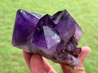 Image 11 of Amethyst Points Cluster | Congo #2869