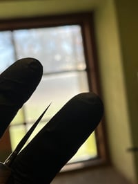 Image 5 of #8 Mono Gyuto