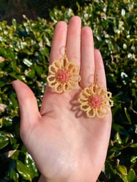 sunshine flowers