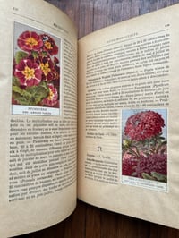 Image 8 of Le jardin d’agrément, L-J.Troncet, édition Larousse, 1908