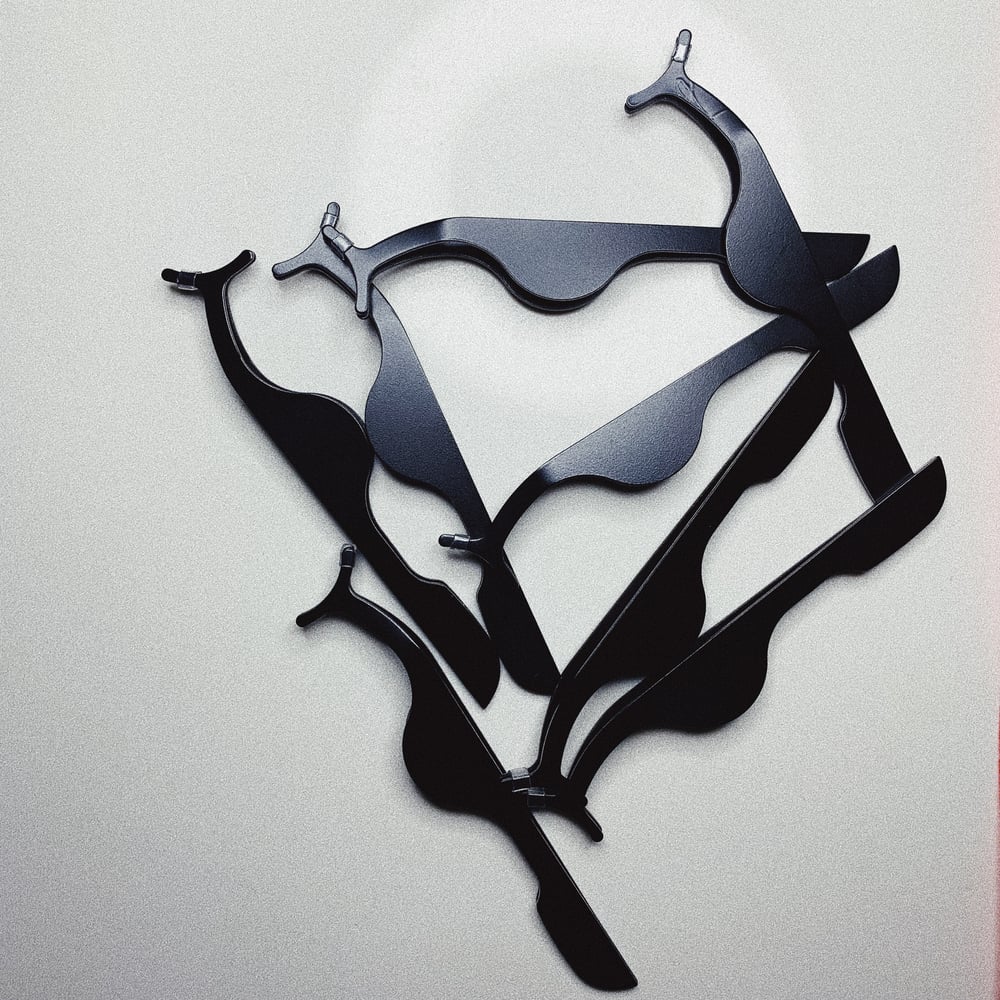 Image of LA$H TWEEZERS