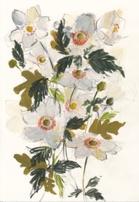 Japanese anemone sketch