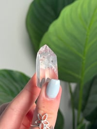 Image 2 of PHANTOM QUARTZ TOWER -BRAZIL-