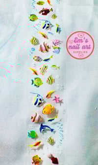 ocean fish