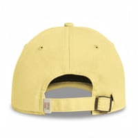Image 3 of American Gigolo Coastal Washed Cap