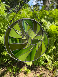 Image 1 of Fiddlehead Fern