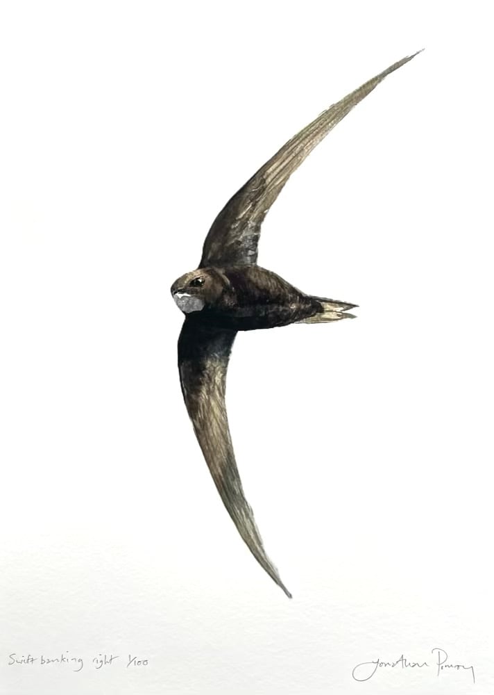 Image of NEW PRINT Swift banking right