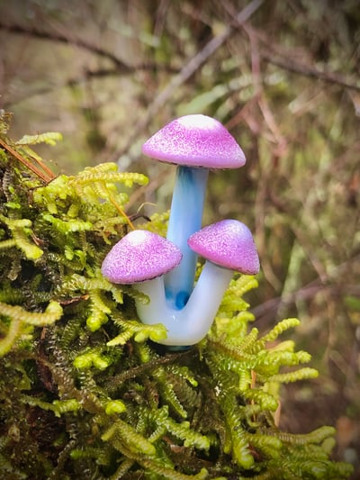 Image of Purple Fuzzy 3 Mushroom Plant Spike