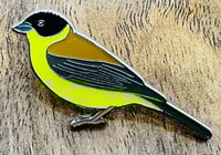 Image 2 of Black-headed Bunting - No.149 - UK Birding Pins