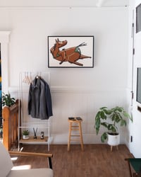 Image 5 of Abby’s Pick