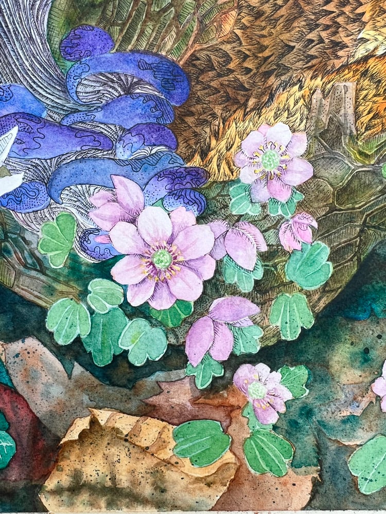 Image of Forest & Foxes