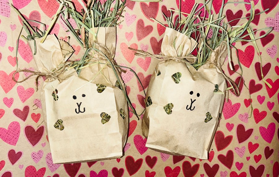 Image of Valentines Bunny enrichment forage bags