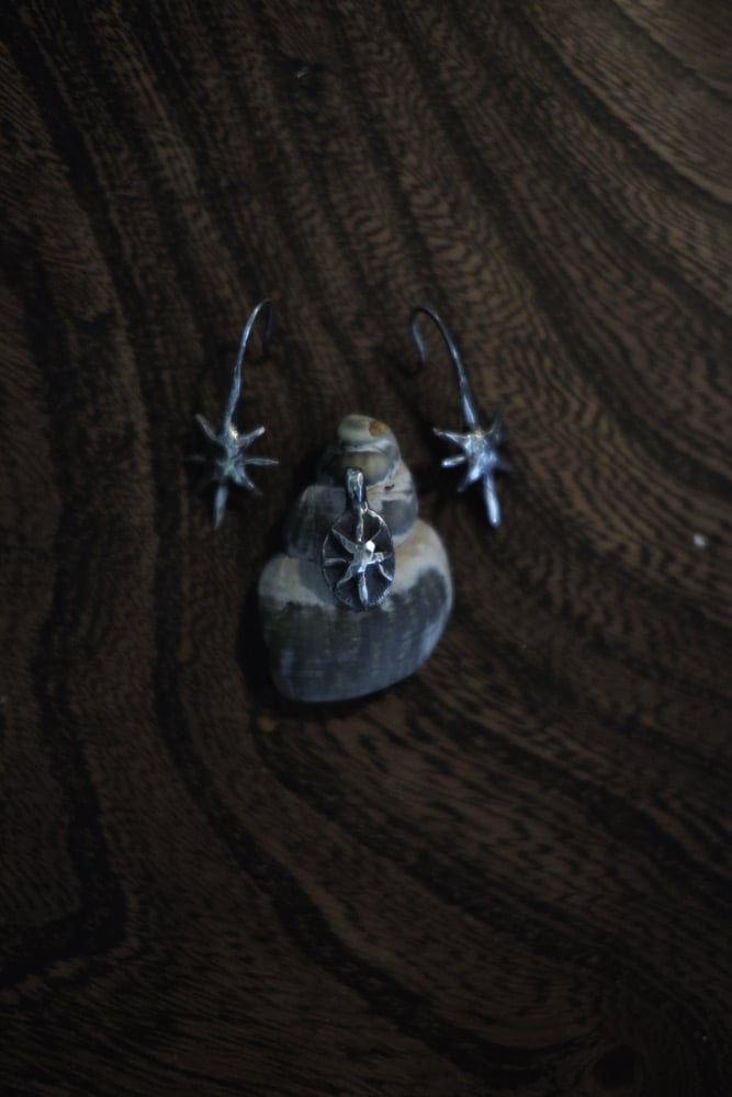 Image of Tân y Nos Earrings ~ small