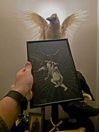 Image 1 of "REMBRANDT COLLECTION - Abduction of Ganymede with preserved spider web. 