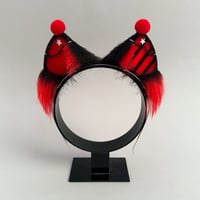 Image 1 of Black/Red Clown Kitten