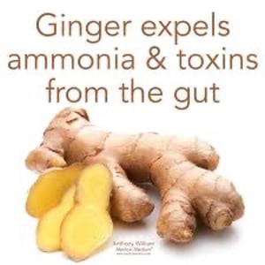 Image of Ginger & Turmeric Root Extract 