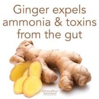 Image 4 of Ginger & Turmeric Root Extract 