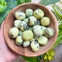 Serpentine with Pyrite Tumble