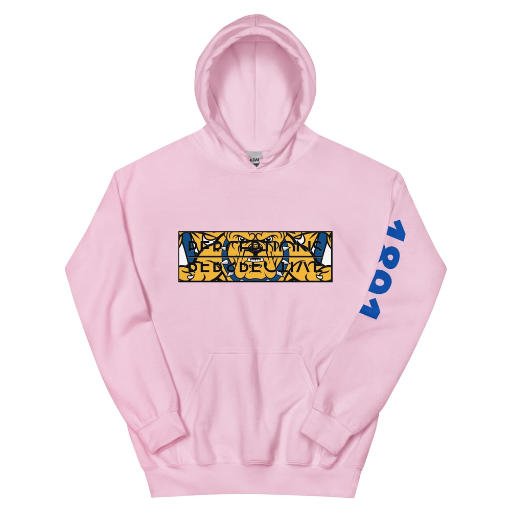 Image of Perceptions Perspective GHOE Edition Hoodie (Alumni)