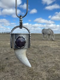 Image 1 of Wolf tooth/ Star Ruby
