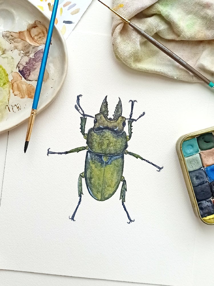 Image of Stag Beetle Watercolor Illustration ORIGINAL ARTWORK 