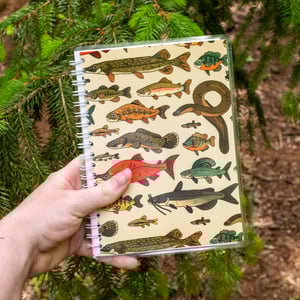 Freshwater Fish Sticker-collecting Book
