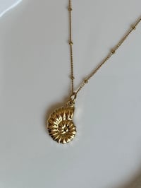 Image 1 of Gold Spiral Shell Necklace
