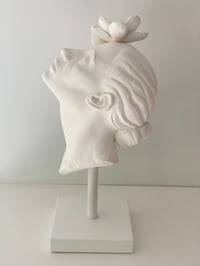 Image 5 of BLOOM WHITE PRE ORDER