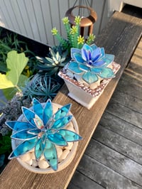 Image 2 of **PRE SALE** Succulent Glass Plant - Potted