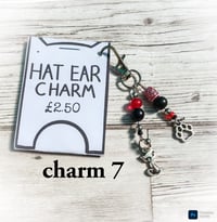 Image 7 of Ed’s hat ear charms